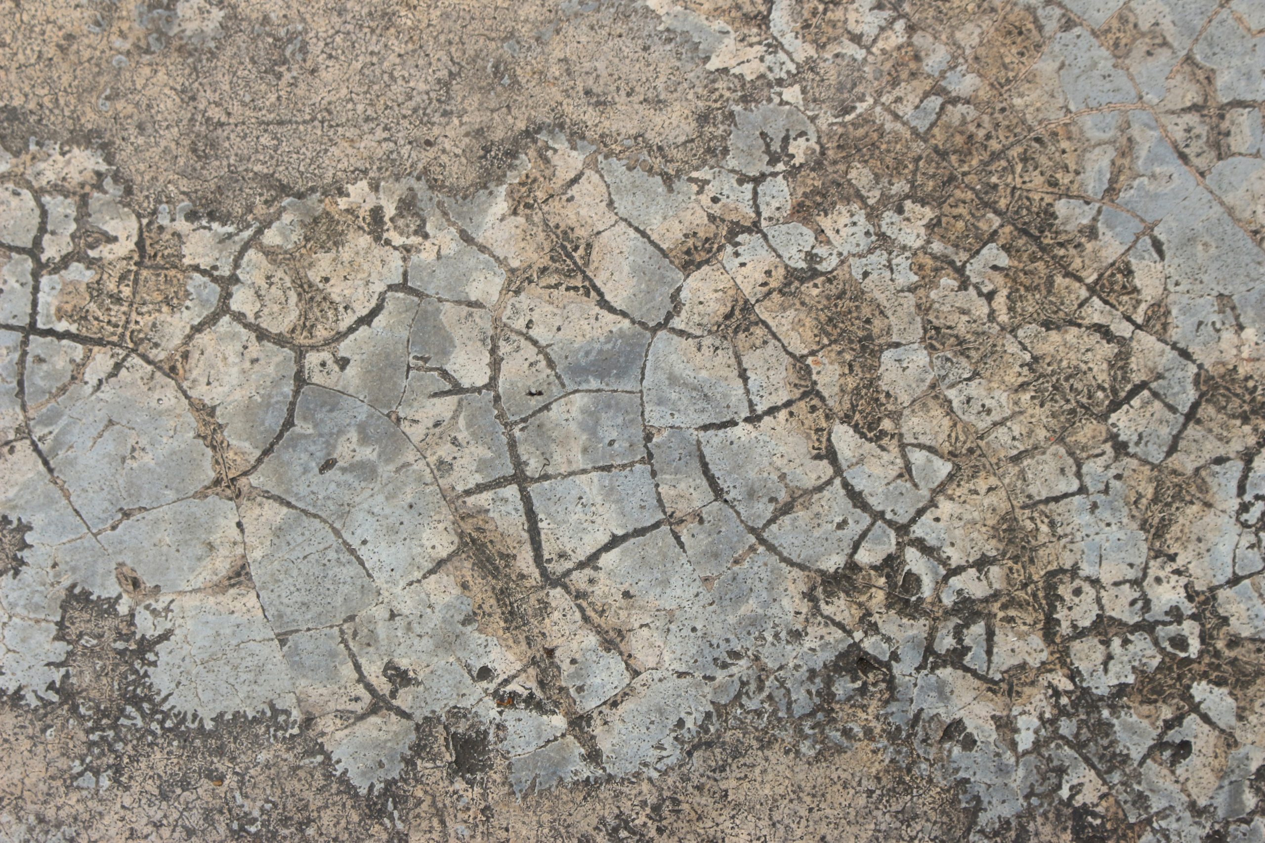 can salt damage your concrete