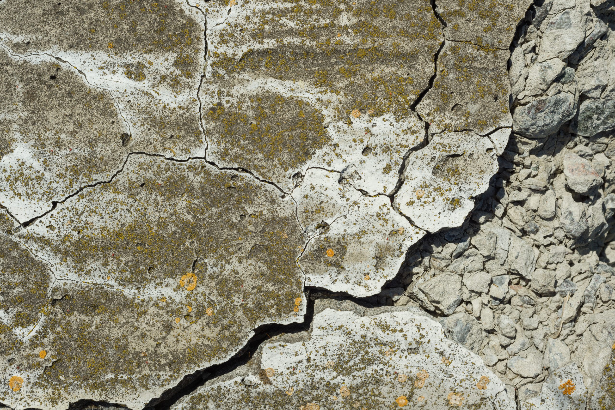 Common Causes of Cracked Concrete in Austin and How to Fix Them
